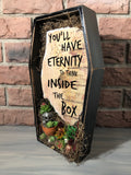 “Eternity to think inside the box” coffin terrarium